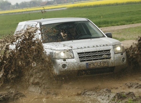 Freelander wydoroślał