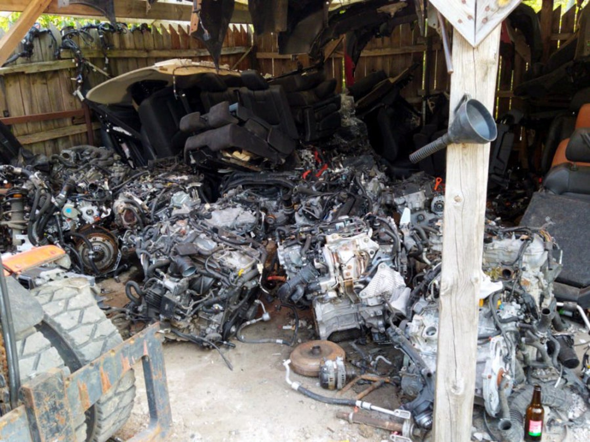 Dziupla odkryta w miejscowości Kiciny