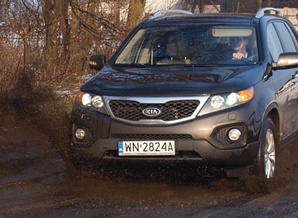 Kia Sorento: mocny gracz
