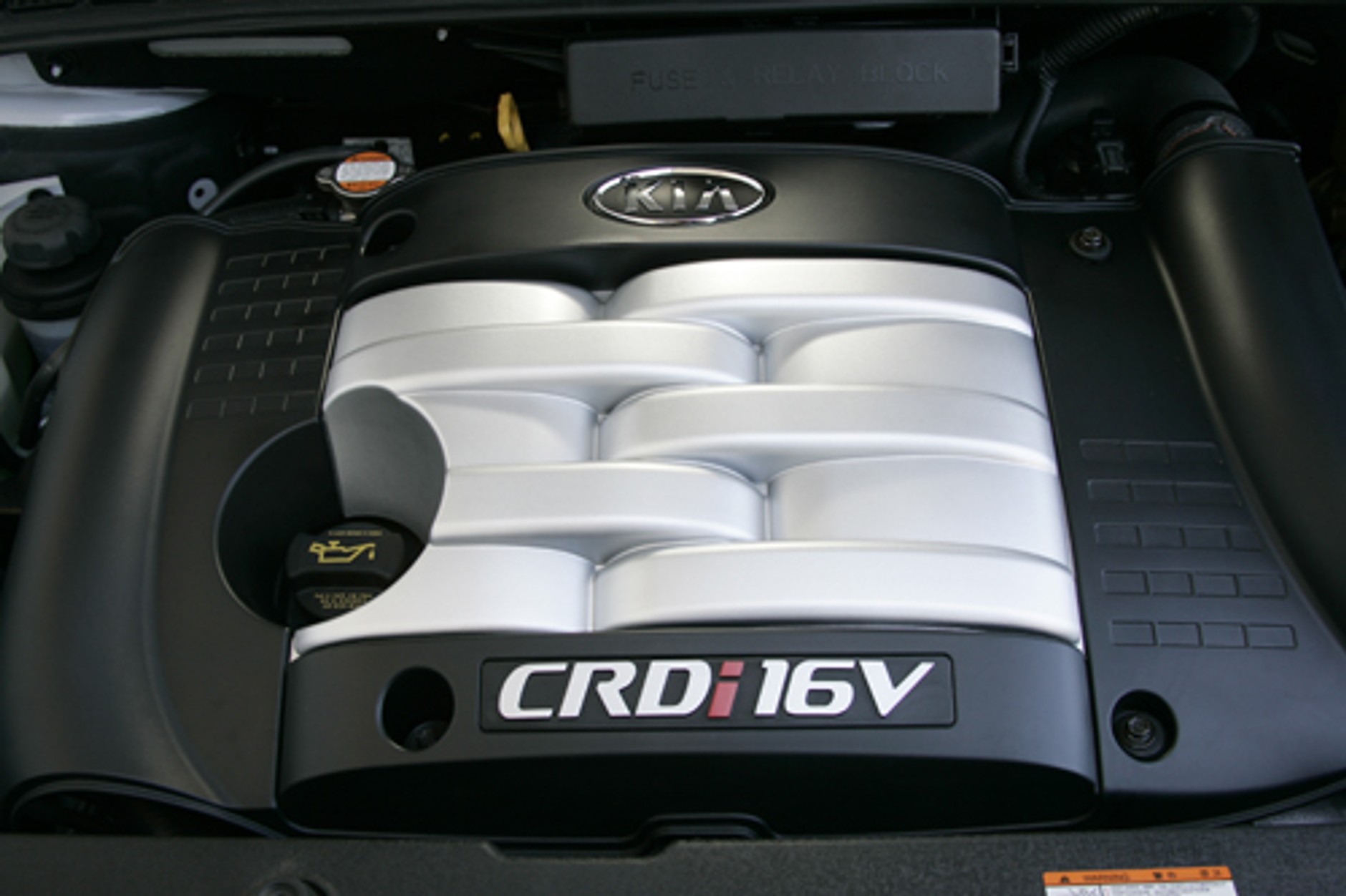 Kia Carnival - Nauka nie poszła w las