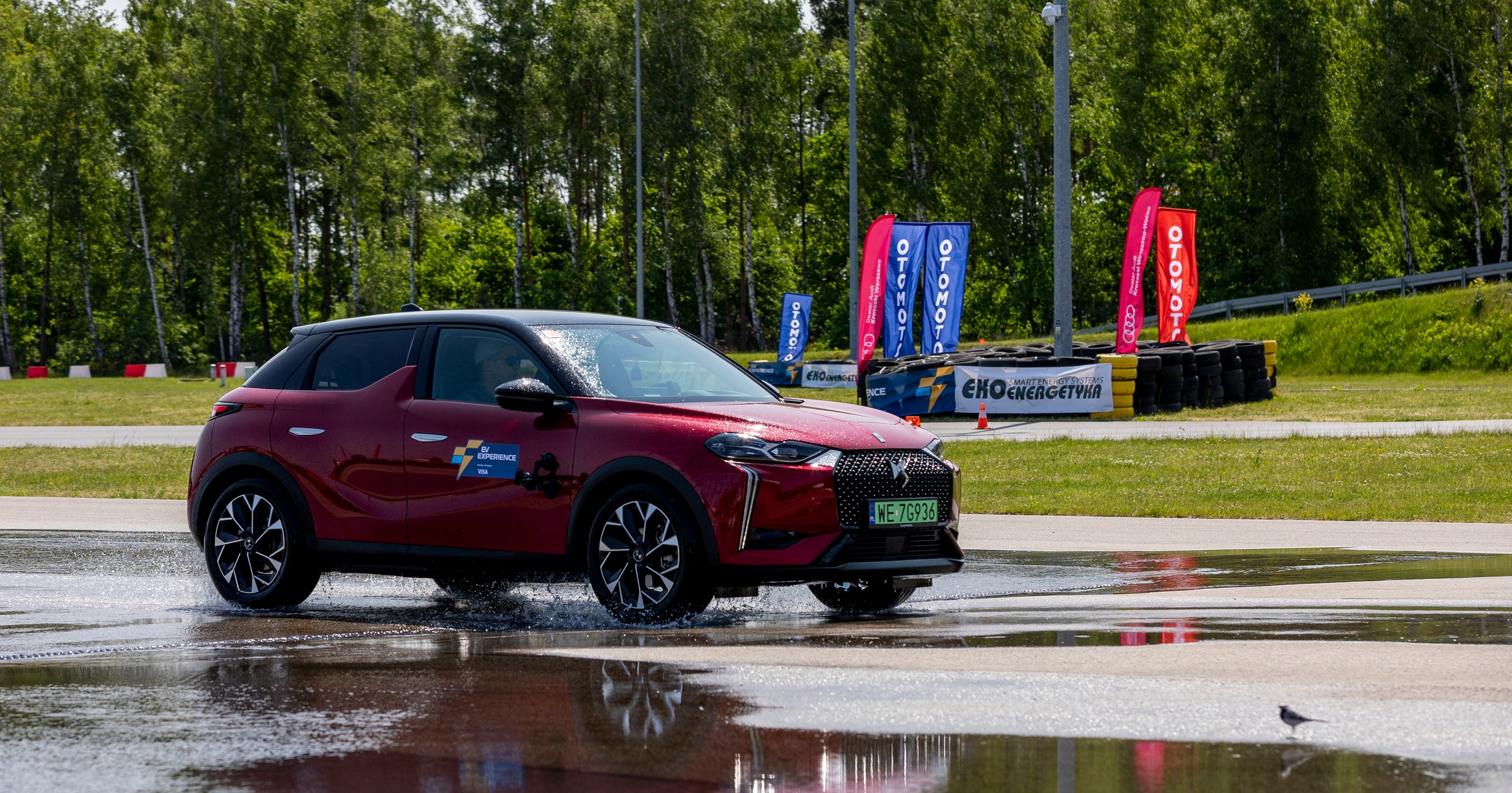 Elektromobilność coraz bardziej przystępna. Wybór staje się realny