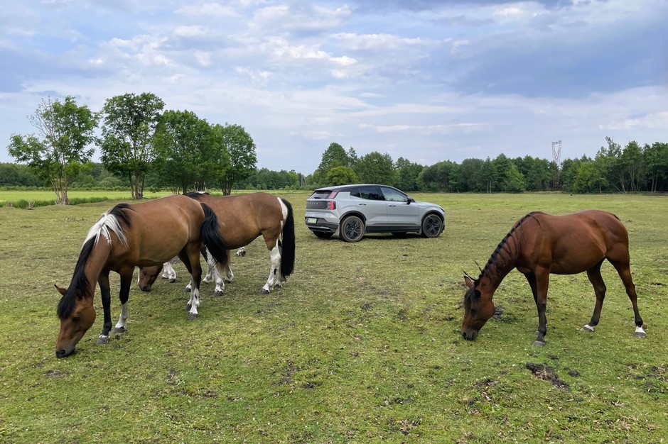 Volvo EX30 Cross Country na łonie natury