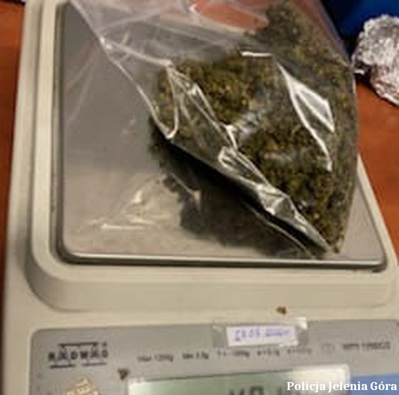 Źródło: jelenia-gora.policja.gov.pl/policja.pl