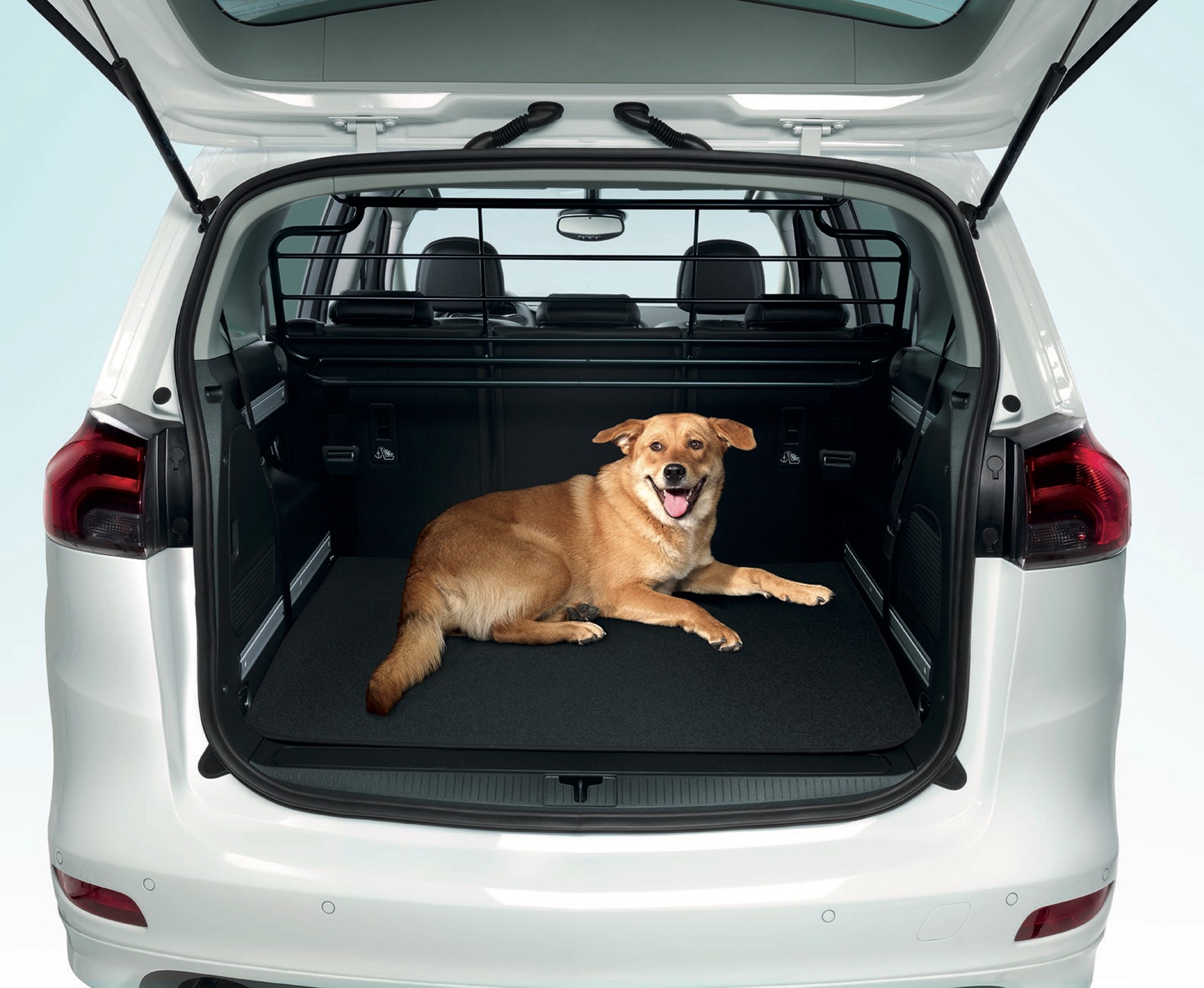 Opel Zafira z przegrodą oddzielającą przestrzeń pasażerską