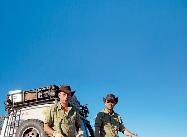 Oszczędne SUV-y z silnikami Diesla