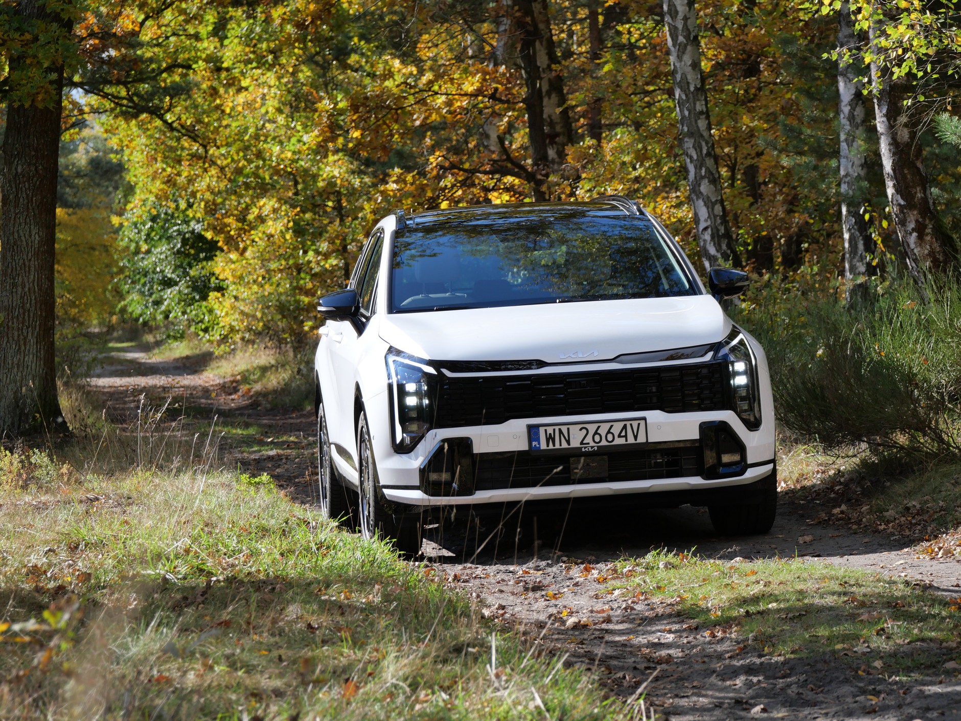 Kia Sportage 1.6 T-GDI AWD w wersji GT Line