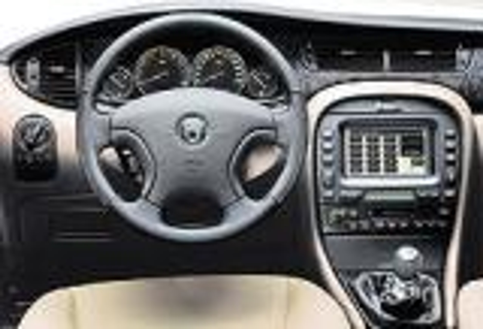 Nowy teren łowiecki kota