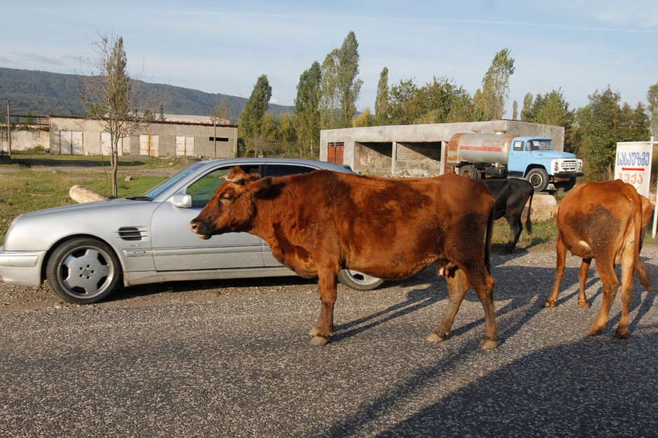 Auto Świat 4x4 Expedition: toast za Gruzję