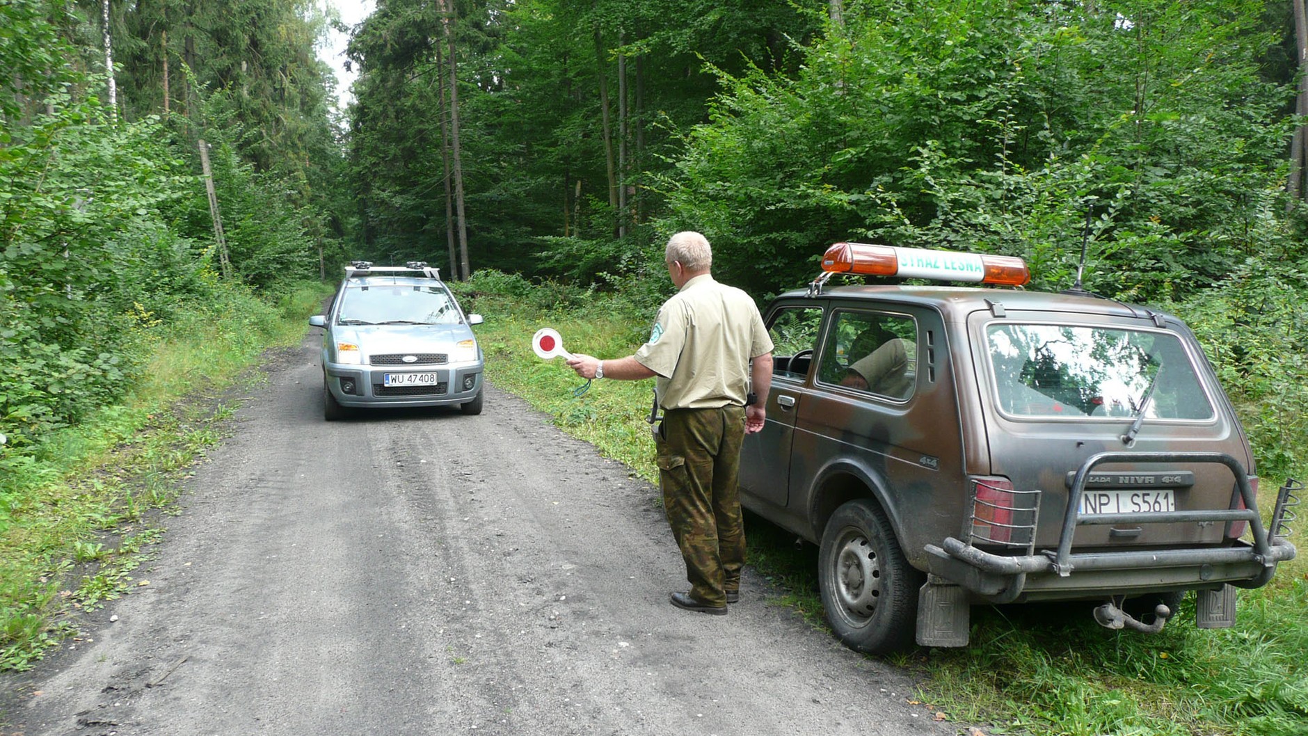 Na drodze leśnej łatwo o mandat np. od leśnika