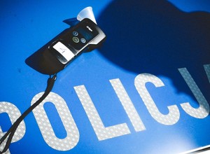Pijanego kierowcy nie zatrzymali policjanci. "Zatrzymał" go dzik