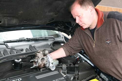 Turbina - Wrażliwa siłaczka