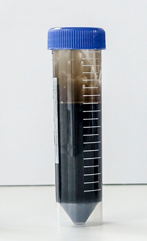 Silnik wysokoprężny - 9 000 km od wymiany oleju - przebieg auta 250 000 km