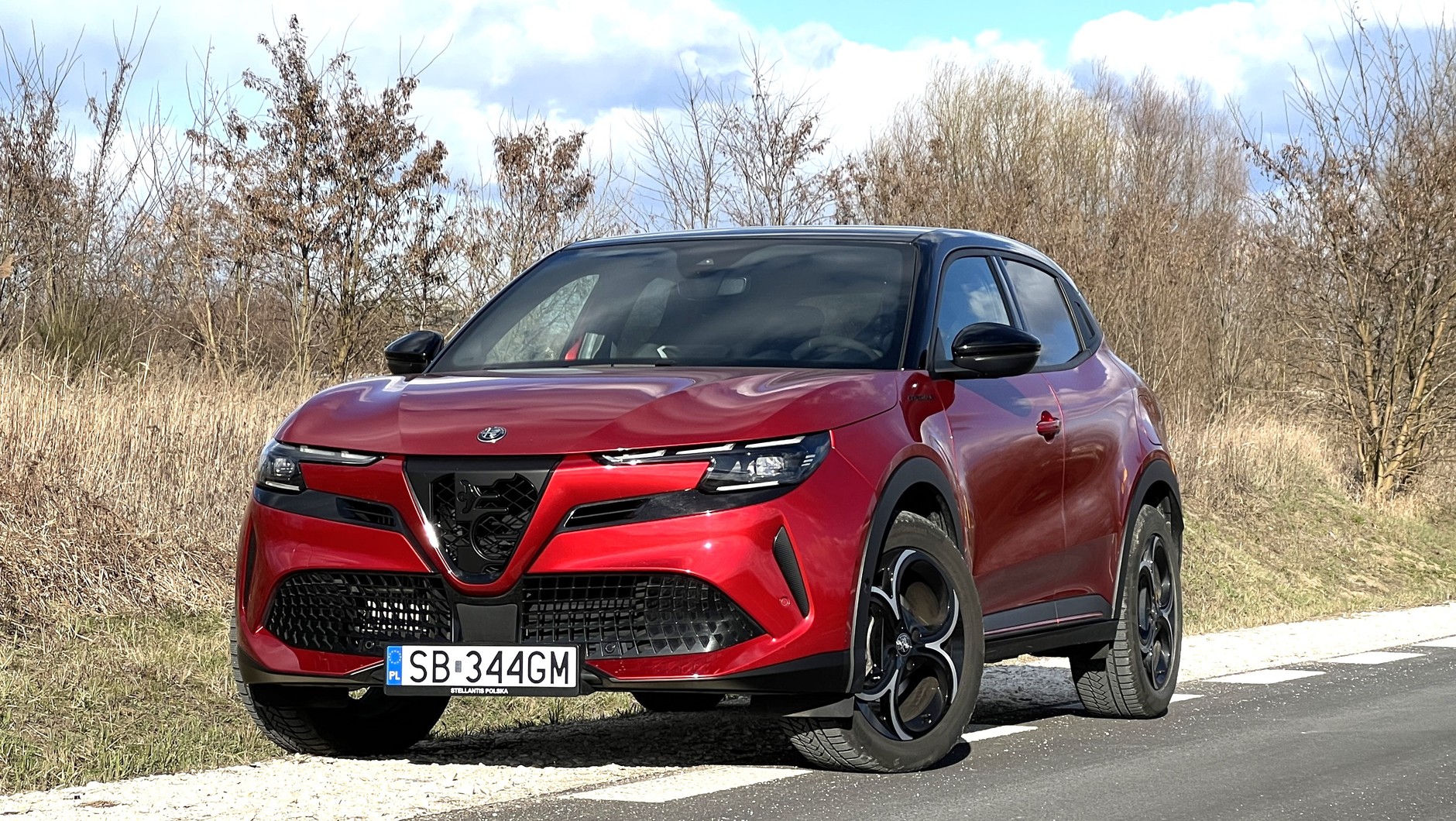 Alfa Romeo Junior