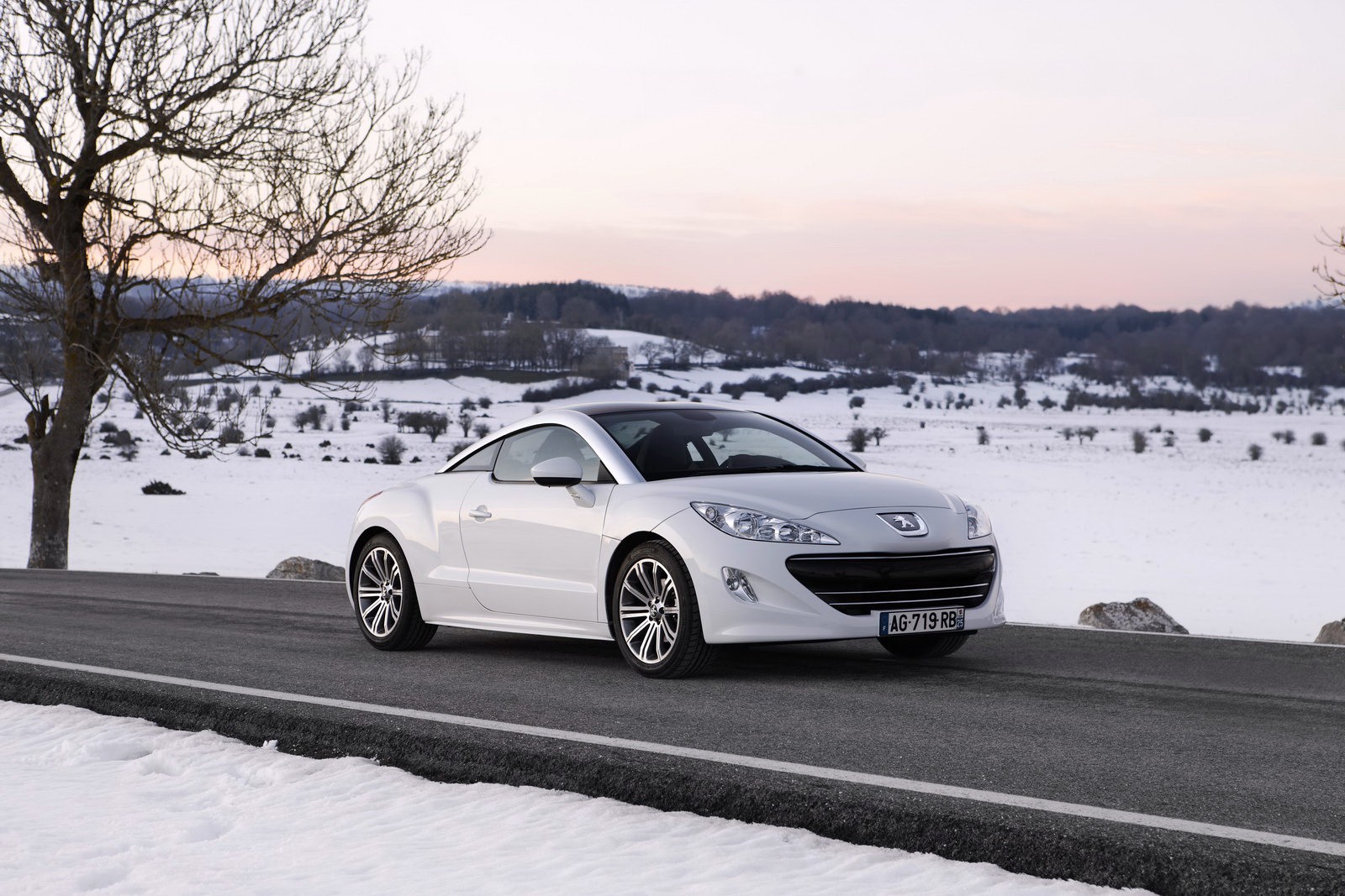Peugeot 308 RCZ