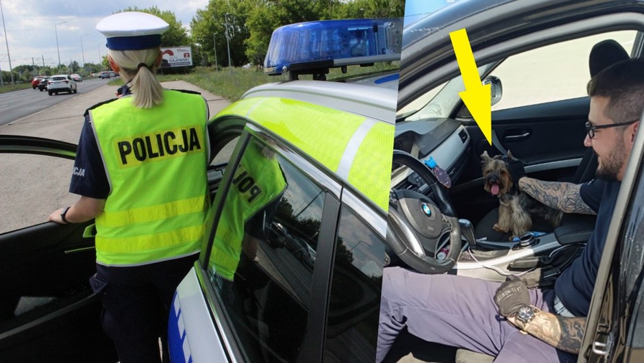 Policjanci uwolnili małego psa z nagrzanego BMW