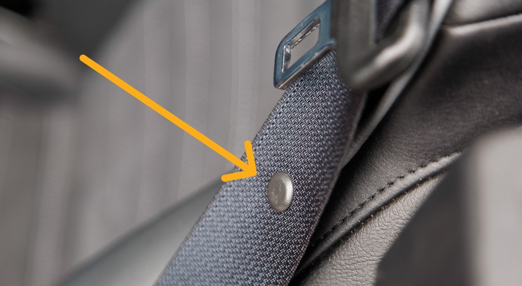 Guzik na pasie bezpieczeństwa