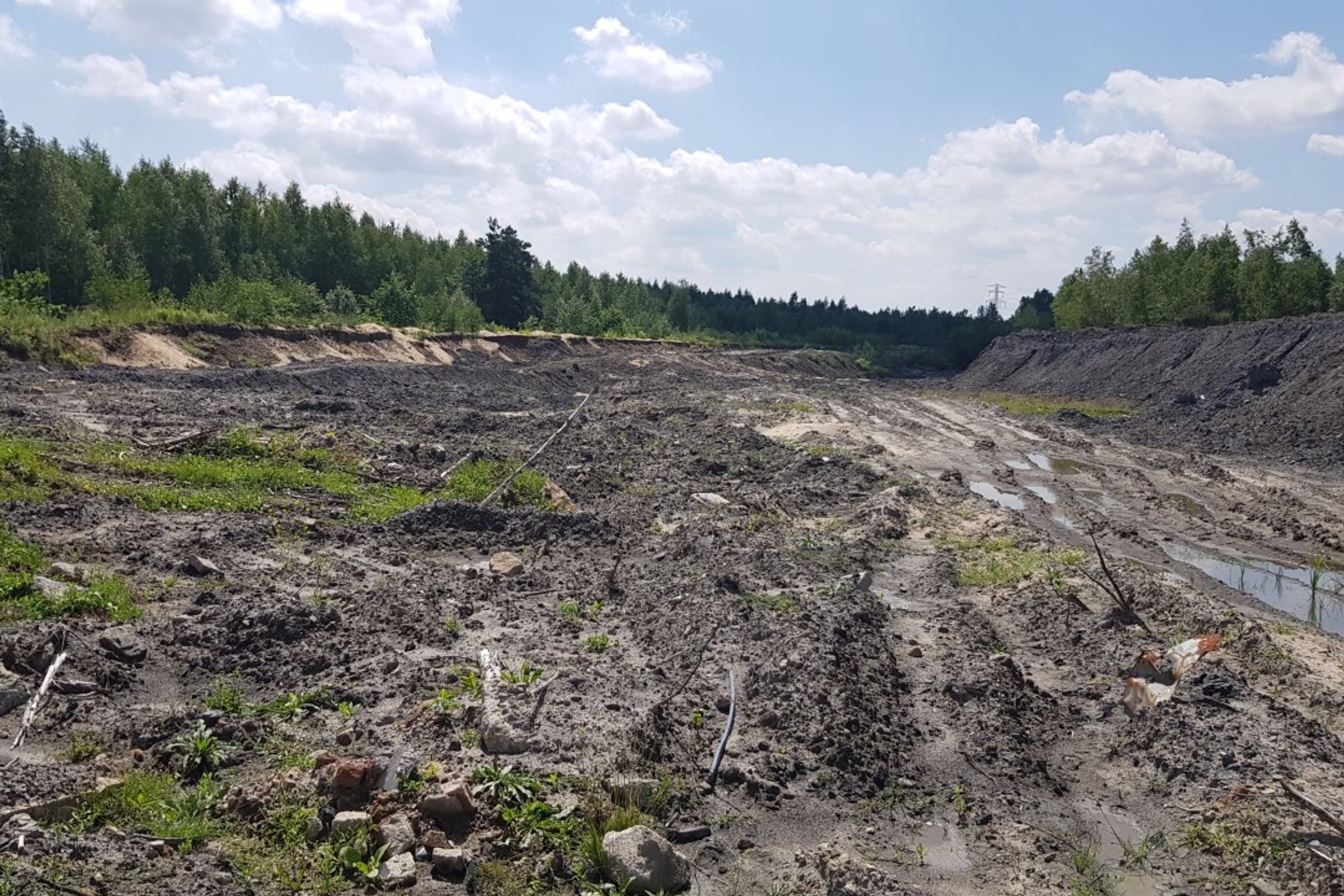 4,5 mld zł na polski samochód elektryczny. najważniejszy moment dla EMP