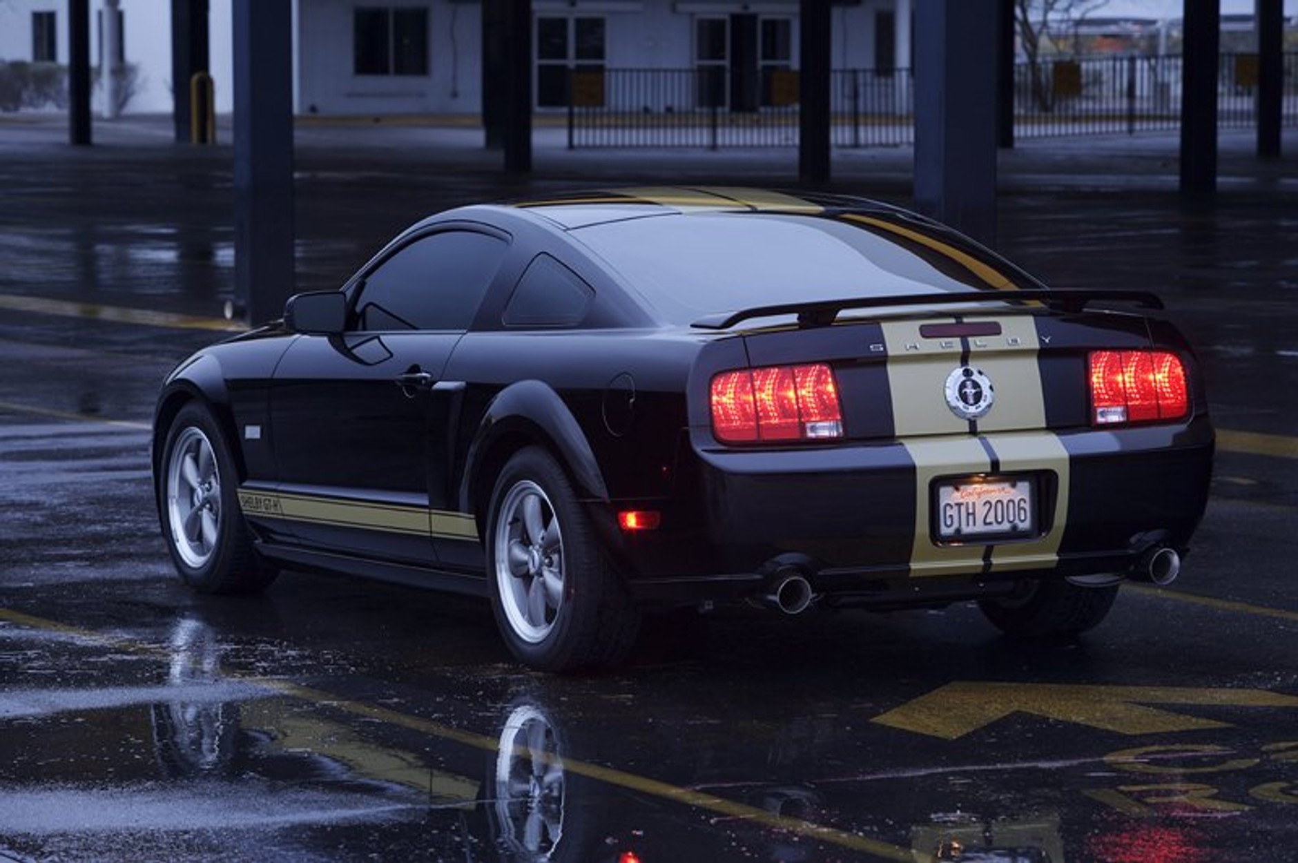 Ford Shelby GT350-H: z wypożyczalni na półki sklepowe