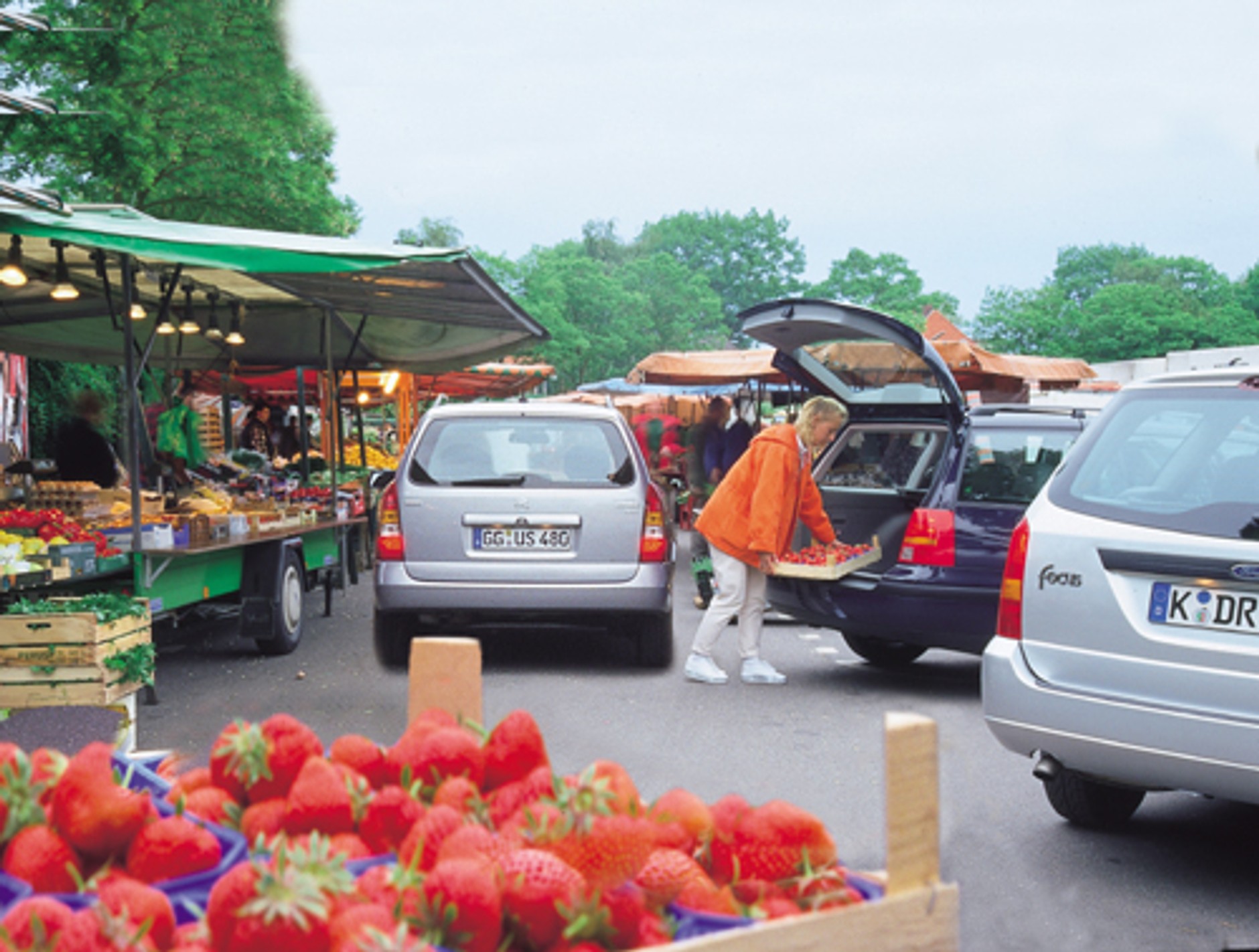 Opel Astra II kontra Ford Focus I i VW Golf IV - porównanie używanych kombi z dieslem