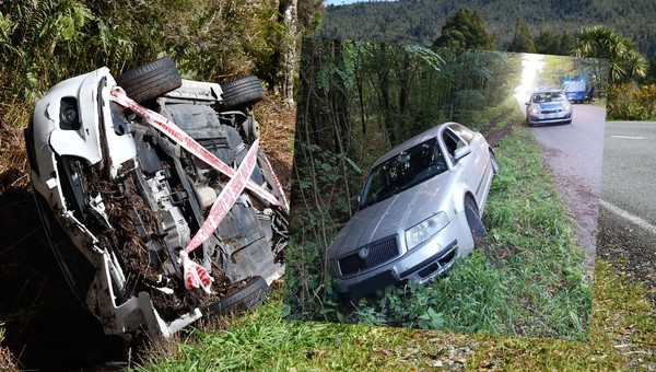 Skoda w rowie, mężczyzna w aucie. Wszystko zwęszył Polon