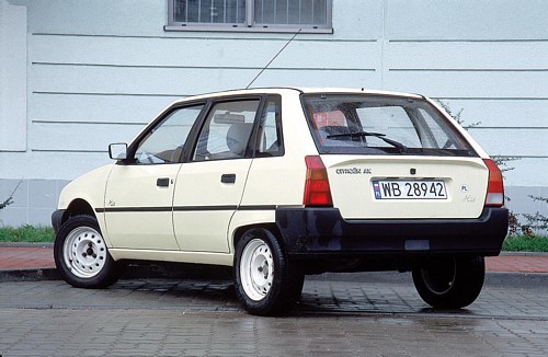 Urodzony wojownik