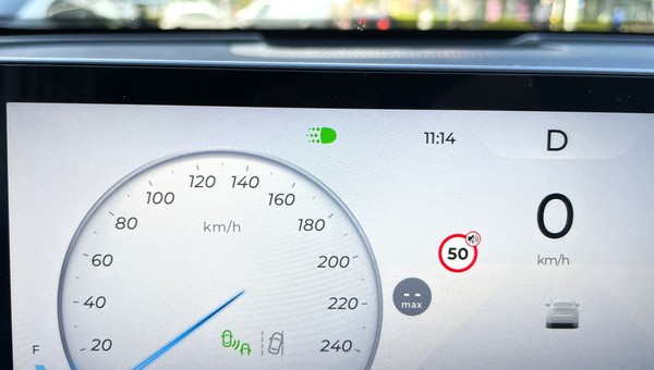 Zielona "niedźwiedzia łapa" wyświetlona na panelu z kontrolkami