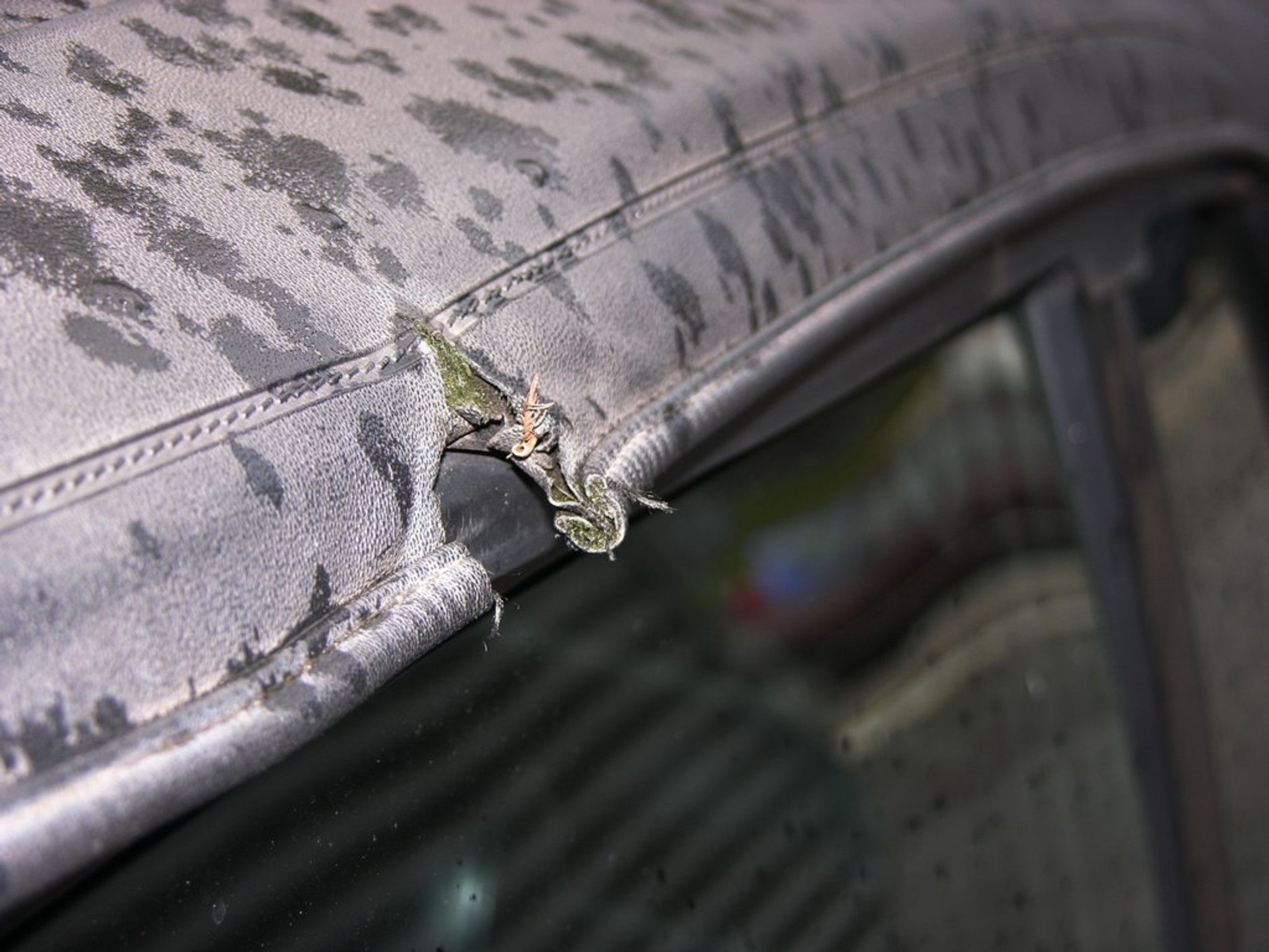 Sprawdź przed zakupem: