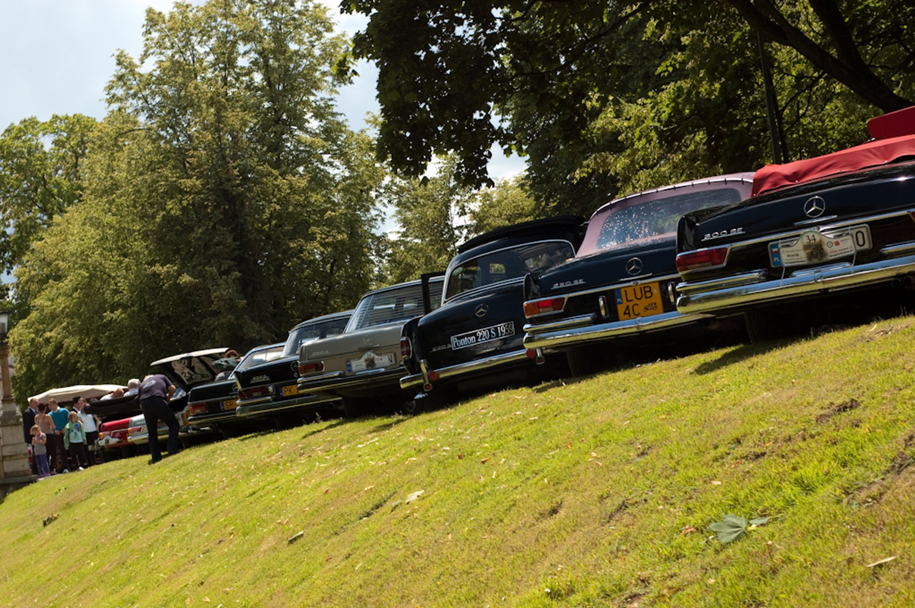 Klasyczne Mercedesy w Wilanowie