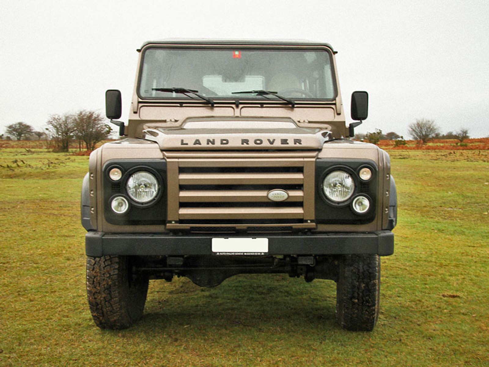 Wildcat Defender z silnikiem Corvetty