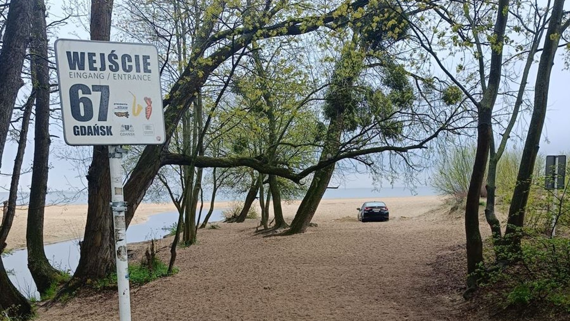 Wjechał samochodem na plażę