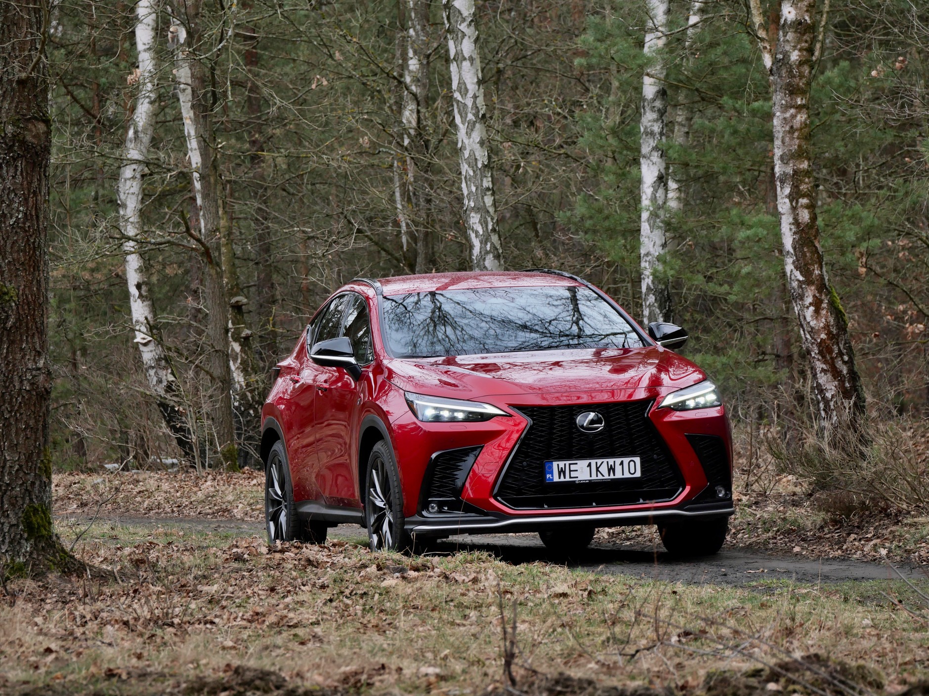 Lexus NX 450H+ F Sport