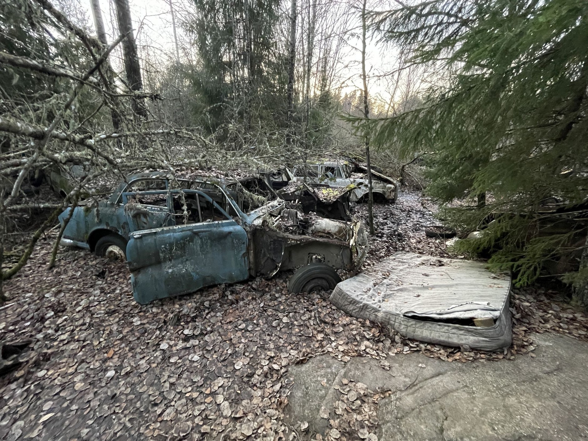 Cmentarzysko samochodów w Bastnas w Szwecji