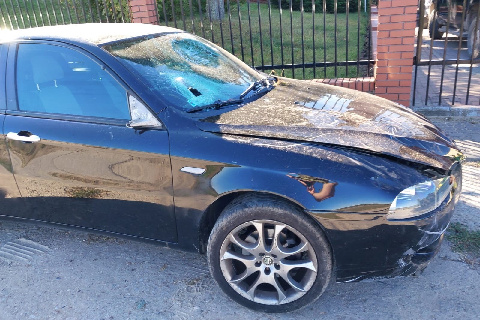 Alfa Romeo skończyła na płocie w Hajnówce