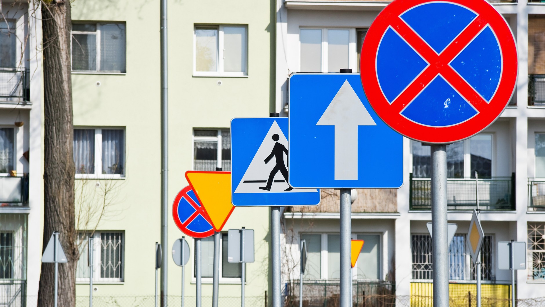 Znak D-3 (drugi od prawej) informuje o drodze jednokierunkowej