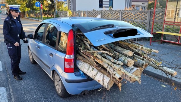 Kierowca Fiata Pandy przesadził. To nie był chrust