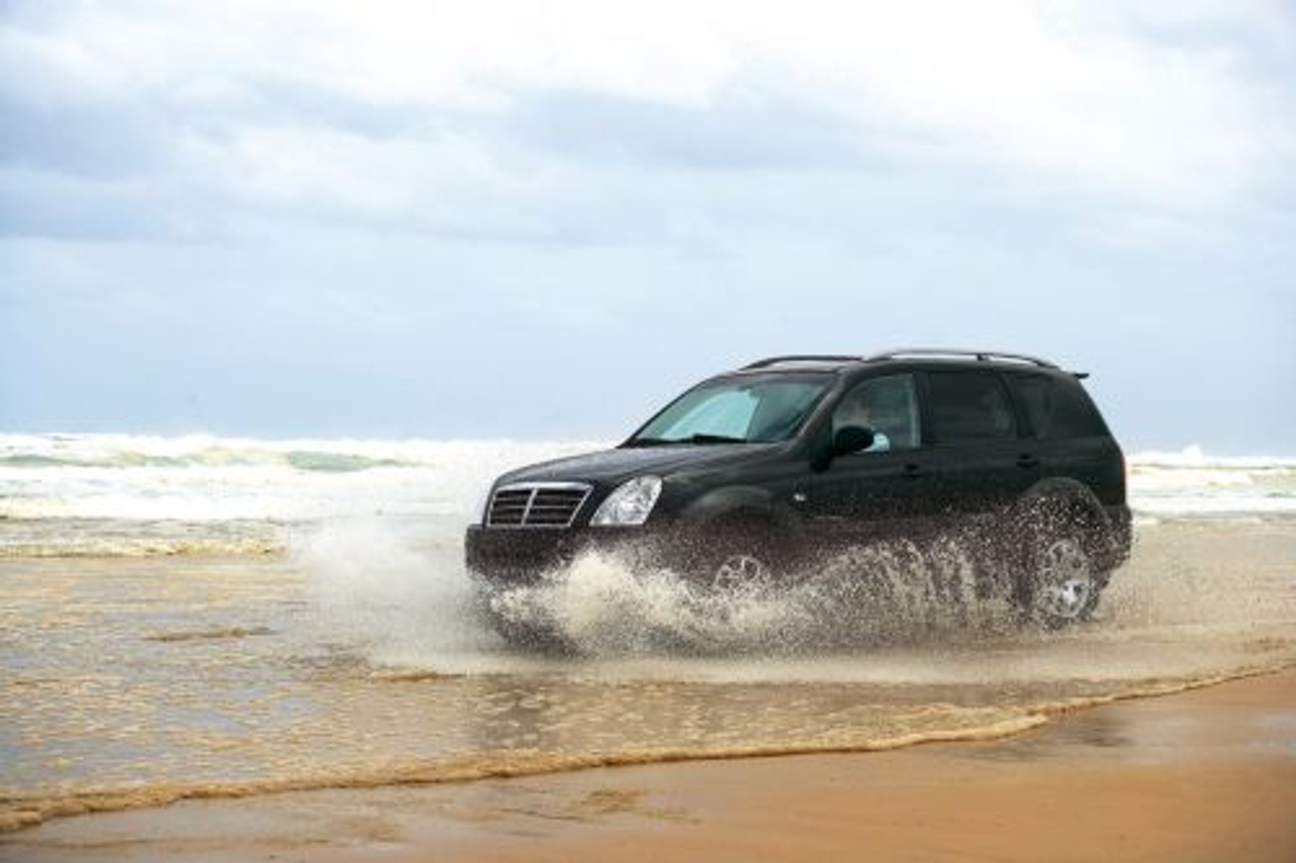 SsangYong - Ciężarowe Rexton i Kyron