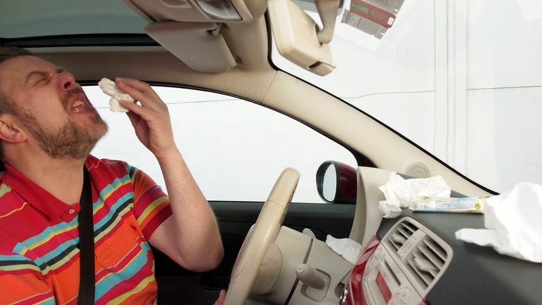 Jak nie dać się alergii w aucie?