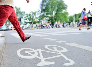 Piesi nie mają instynktu samozachowawczego - wyniki badań