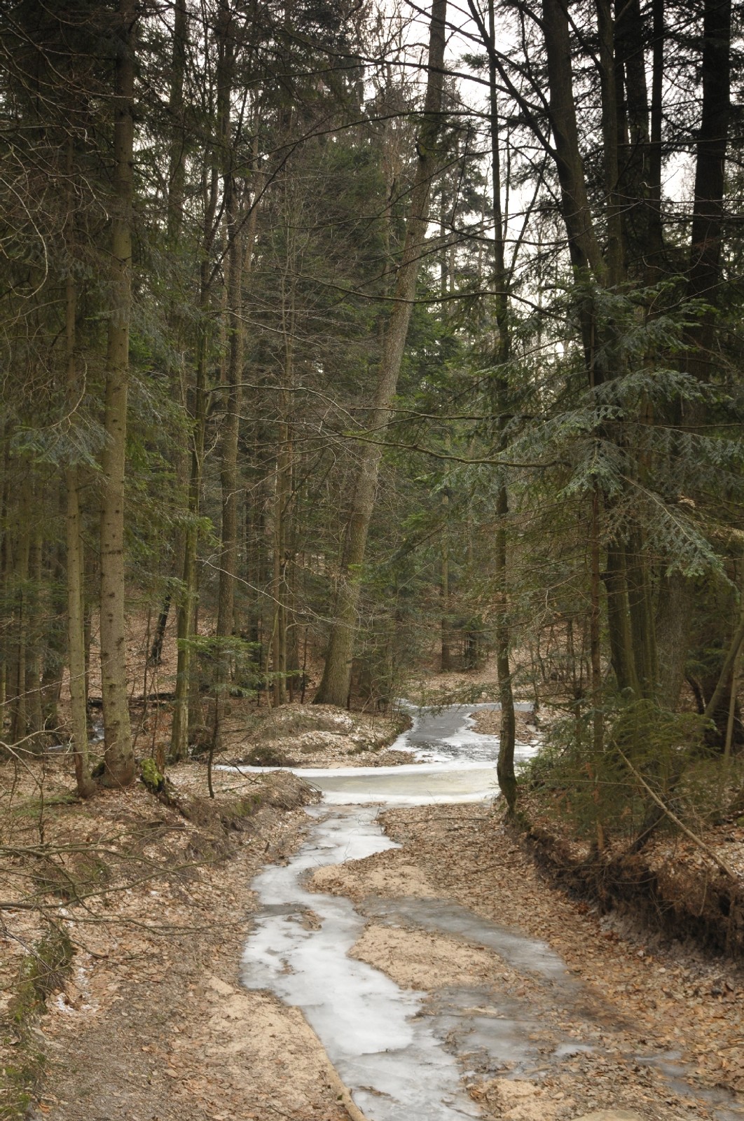 Terenowe zwiedzanie Polski