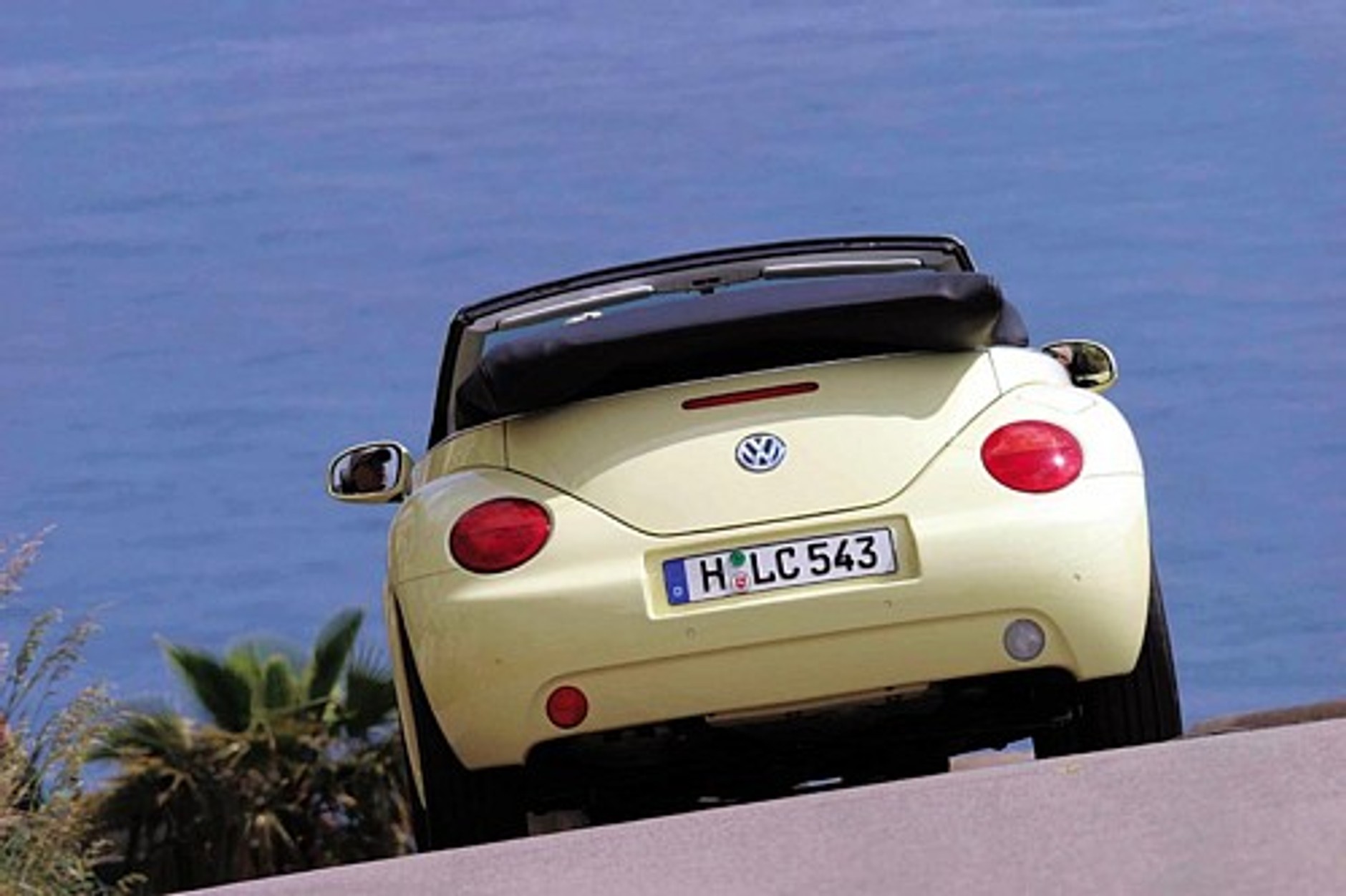 Chrabąszcz bez pancerza