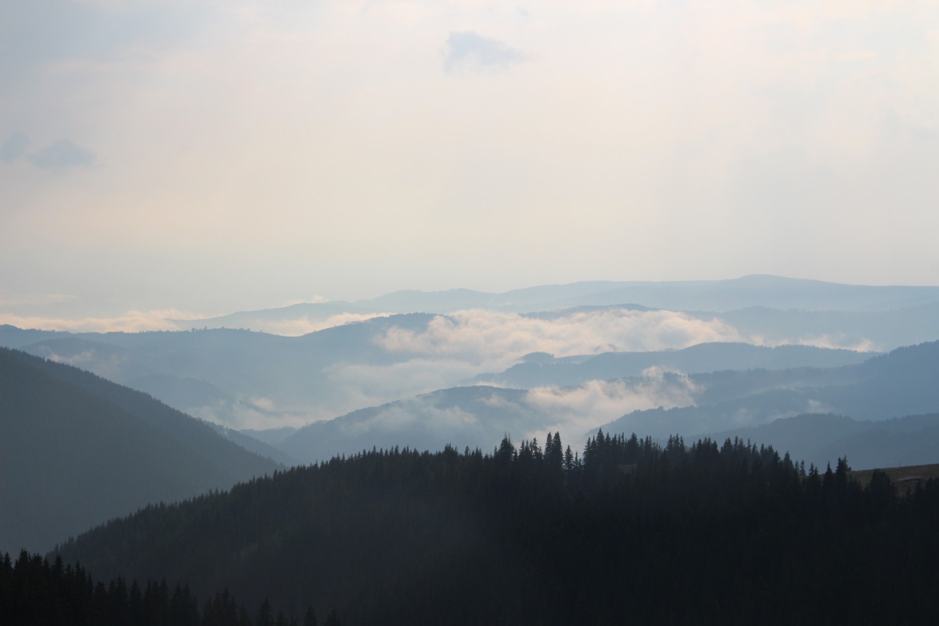 Skodą Yeti w Karpatach dla zuchwałych