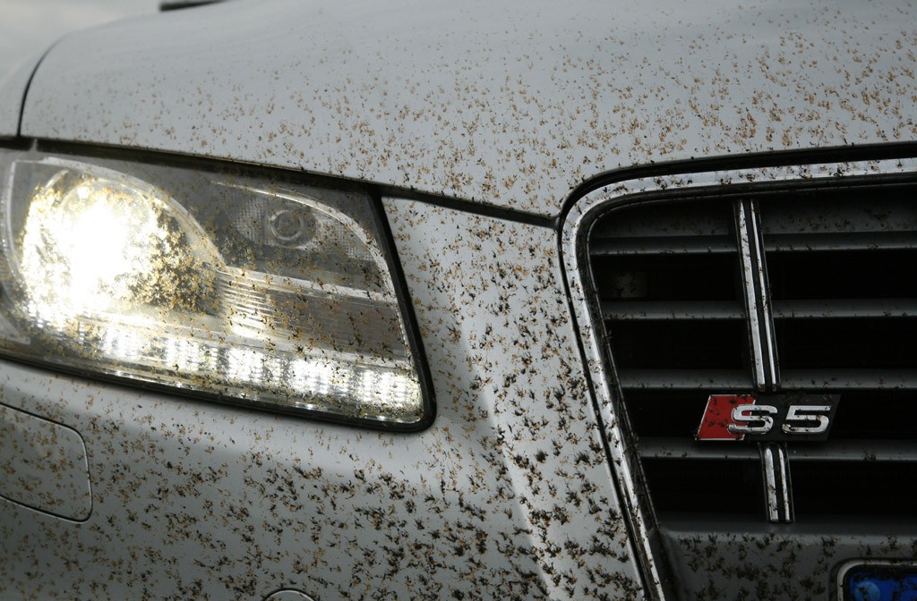 Podczas zmywania trudnych zabrudzeń zwykle na lakierze pojawiają się mikrozarysowania