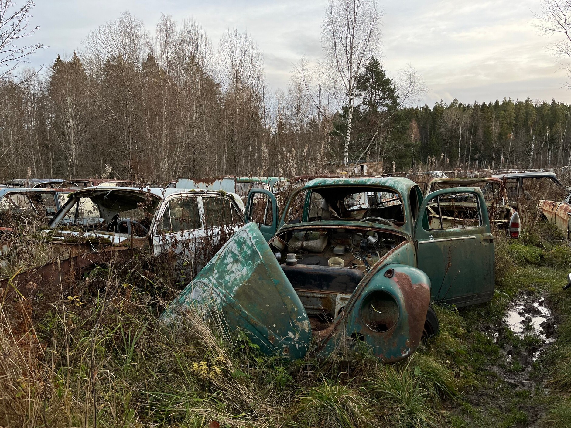 Cmentarzysko samochodów w Bastnas w Szwecji