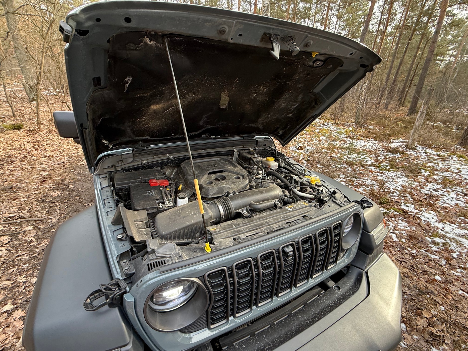 Jeep Wrangler vs Toyota Land Cruiser