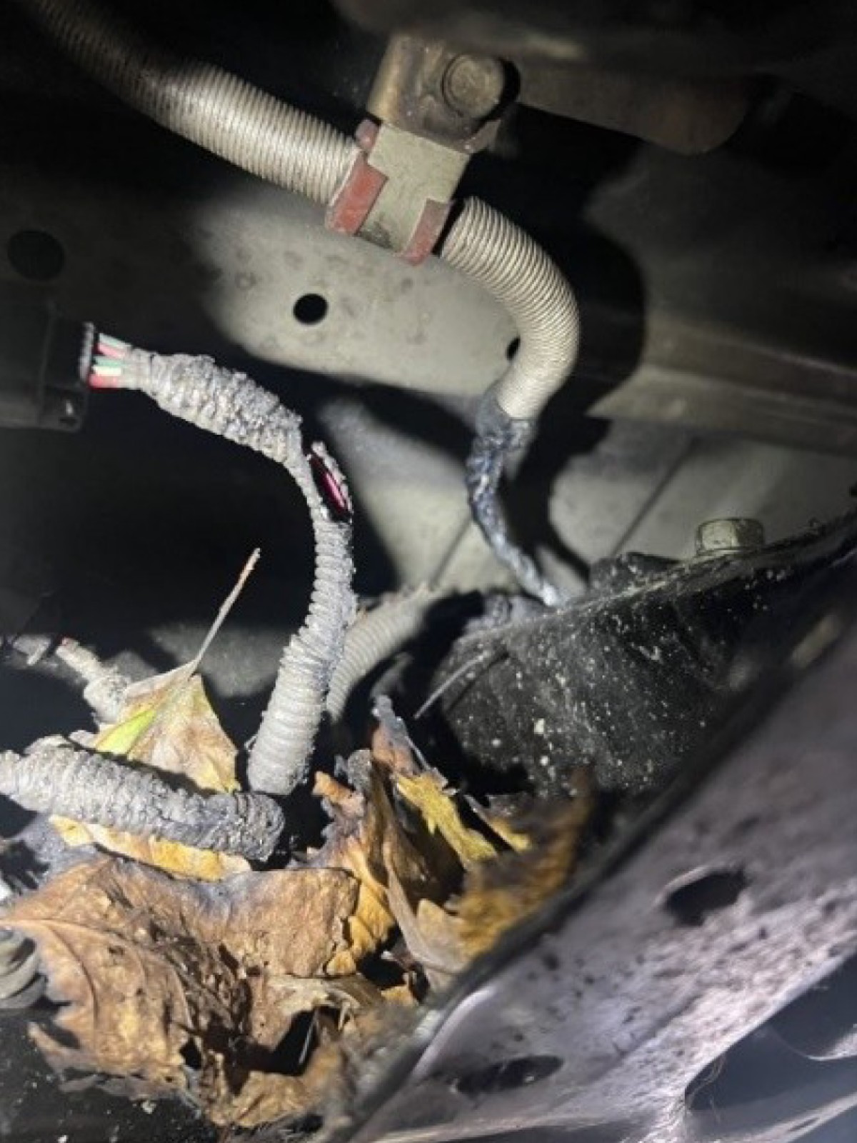 Isuzu D-Max pana Jacka – zdjęcia z oględzin rzeczoznawcy