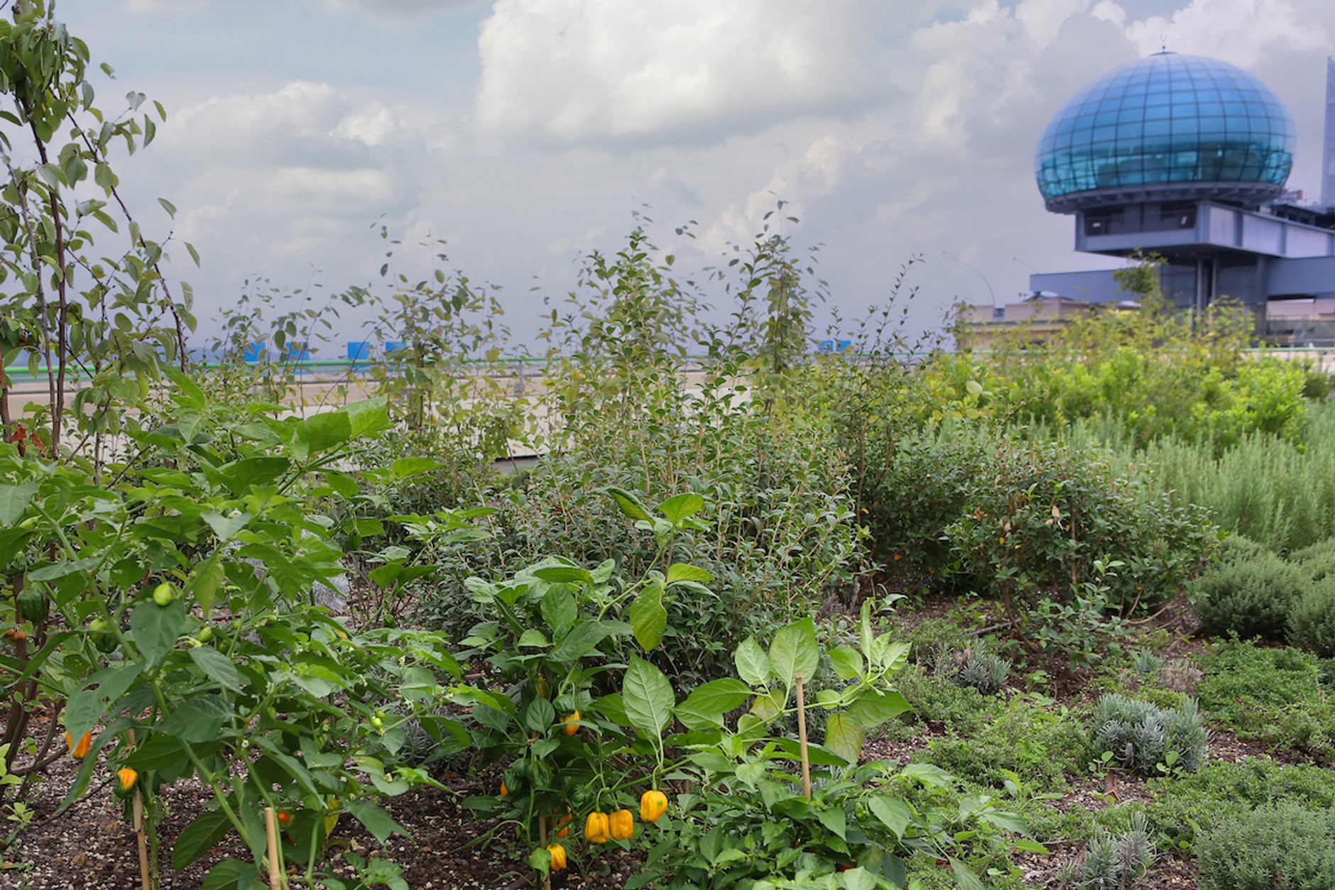 Casa 500 i La Pista 500 w Lingotto (Turyn)