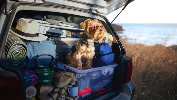 Pakowanie na wyjazd może być wyzwaniem. Pomaga odpowiednia organizacja