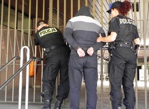 Rozbito gang złodziei samochodów!