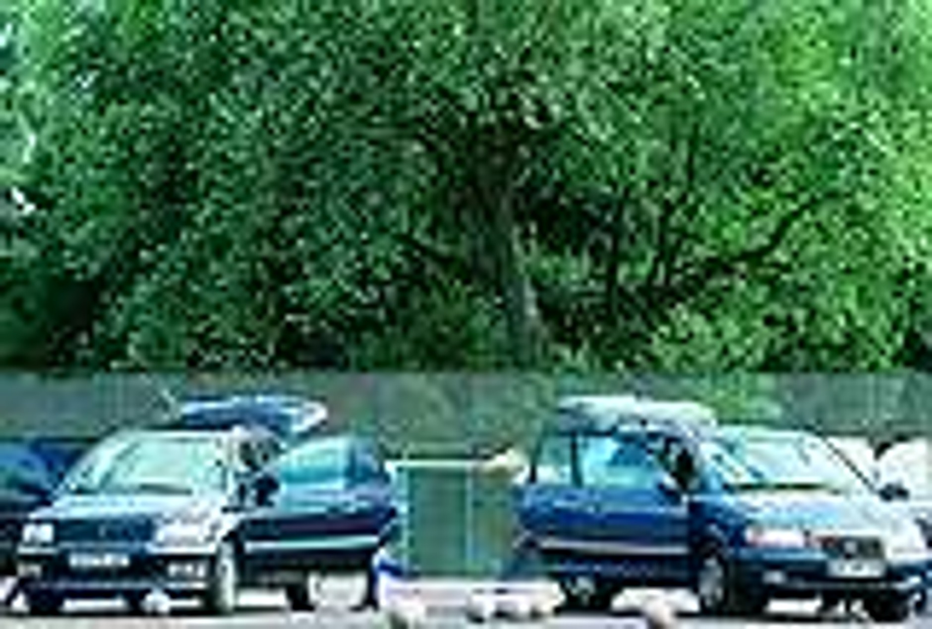 Transport grupowy: vany