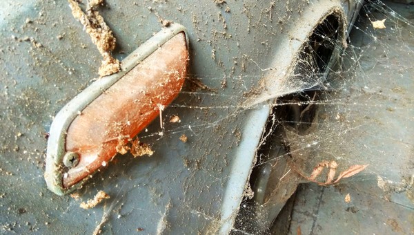 Nastolatkowie odkryli w brazylijskiej szopie imponującą kolekcję zapomnianych aut